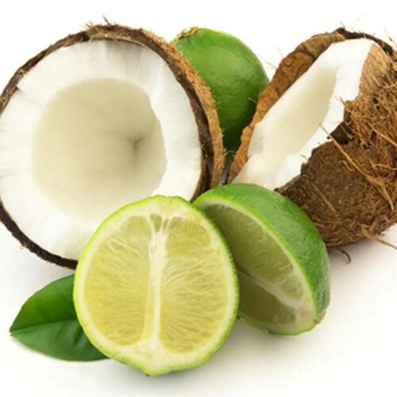 Twisted Coconut - BEAUTY BEATS BODY CARE